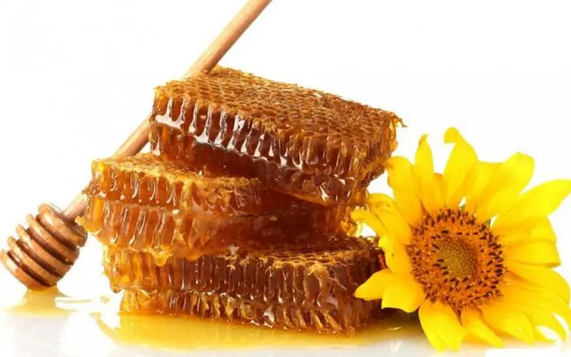 新西兰蜂蜜品牌前十名